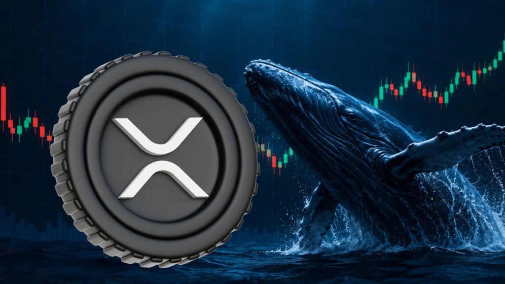 What’s Next for XRP Price as Whale Outflows Rise and Reserves Hit New Lows?