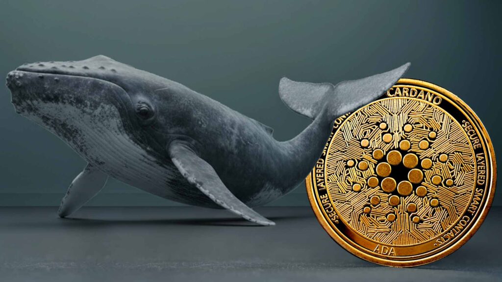 La acumulación de las «ballenas» de Cardano alcanza máximos de tres años: ¿puede contribuir a la subida del precio de ADA?
