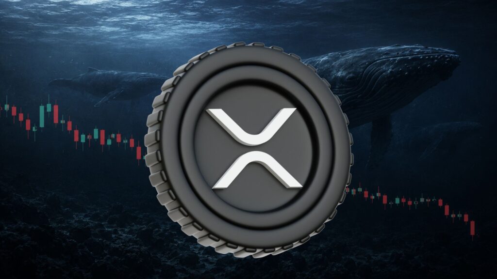 XRP Crypto News: XRP Whales Expand Even as Token Struggles